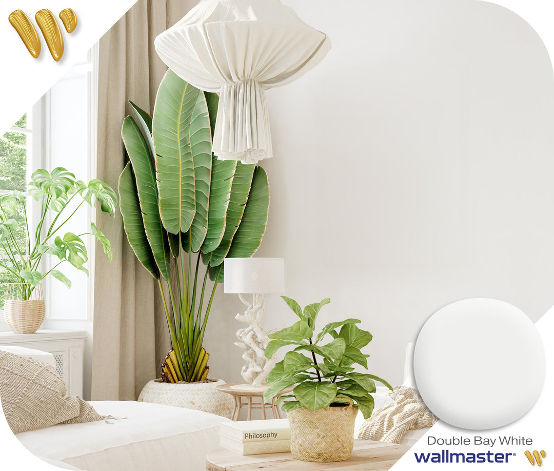 Double Bay white paint to paint my wall white. Wallmaster Master Whites Collection.  The best white paint for my room