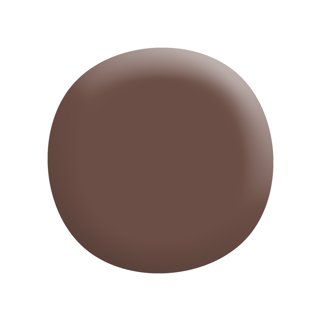 Energy Star® Regal Brown Apa8076-Paint by Wallmaster Paints